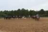 solipractice061709309_small.jpg
