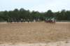 solipractice061709311_small.jpg