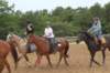 solipractice061709316_small.jpg