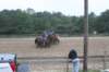 img_0395_small.jpg