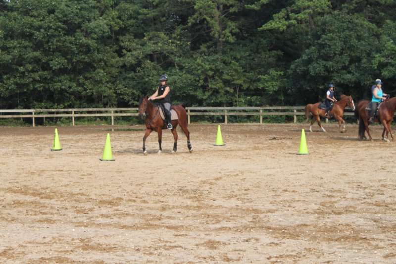 solipractice072209006.jpg