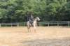 solipractice072209007_small.jpg