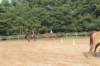 solipractice072209009_small.jpg