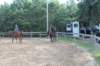 solipractice072209010_small.jpg