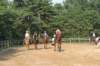 solipractice072209013_small.jpg