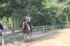 solipractice072209016_small.jpg