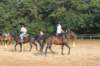 solipractice072209018_small.jpg
