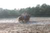 solipractice072209047_small.jpg