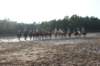 solipractice072209048_small.jpg
