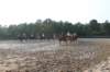 solipractice072209051_small.jpg