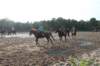 solipractice072209052_small.jpg