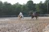solipractice072209053_small.jpg
