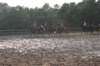 solipractice072209054_small.jpg