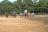 solipractice072209062_small.jpg