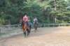 solipractice072209063_small.jpg