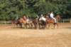 solipractice072209066_small.jpg