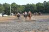 solipractice072209068_small.jpg