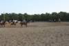solipractice072209089_small.jpg
