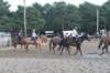 solipractice072209112_small.jpg