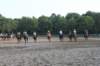 solipractice072209116_small.jpg