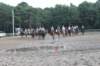 solipractice072209126_small.jpg