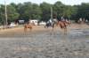 solipractice072209128_small.jpg
