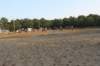 solipractice072209134_small.jpg