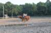 solipractice072209136_small.jpg