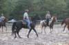 solipractice072209144_small.jpg
