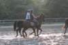 solipractice072209153_small.jpg