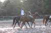 solipractice072209155_small.jpg