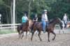 solipractice072209186_small.jpg