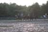 solipractice072209200_small.jpg