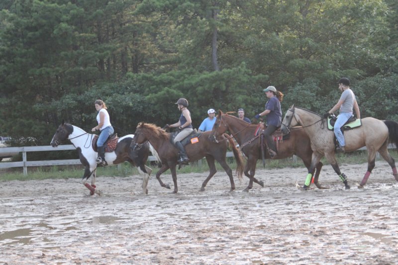 solipractice072209201.jpg