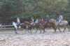 solipractice072209201_small.jpg