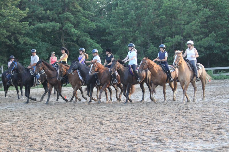solipractice072209204.jpg