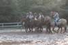 solipractice072209205_small.jpg