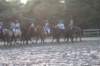 solipractice072209247_small.jpg