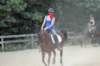 img_4418_edited1_small.jpg
