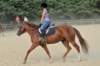 img_4421_edited1_small.jpg