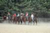 img_4426_edited1_small.jpg