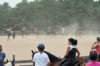 img_4432_edited1_small.jpg