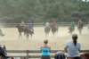 img_4433_edited1_small.jpg