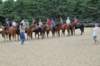 img_4441_edited1_small.jpg