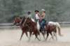 img_4446_edited1_small.jpg