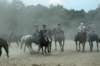 img_4481_edited1_small.jpg
