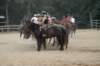 img_4554_edited1_small.jpg