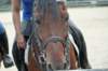 img_4560_edited1_small.jpg