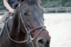 img_4561_edited1_small.jpg
