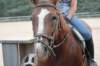 img_4562_edited1_small.jpg